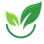 ctn-logo